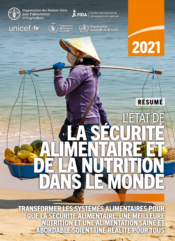 the state of security food and nutrition in the world