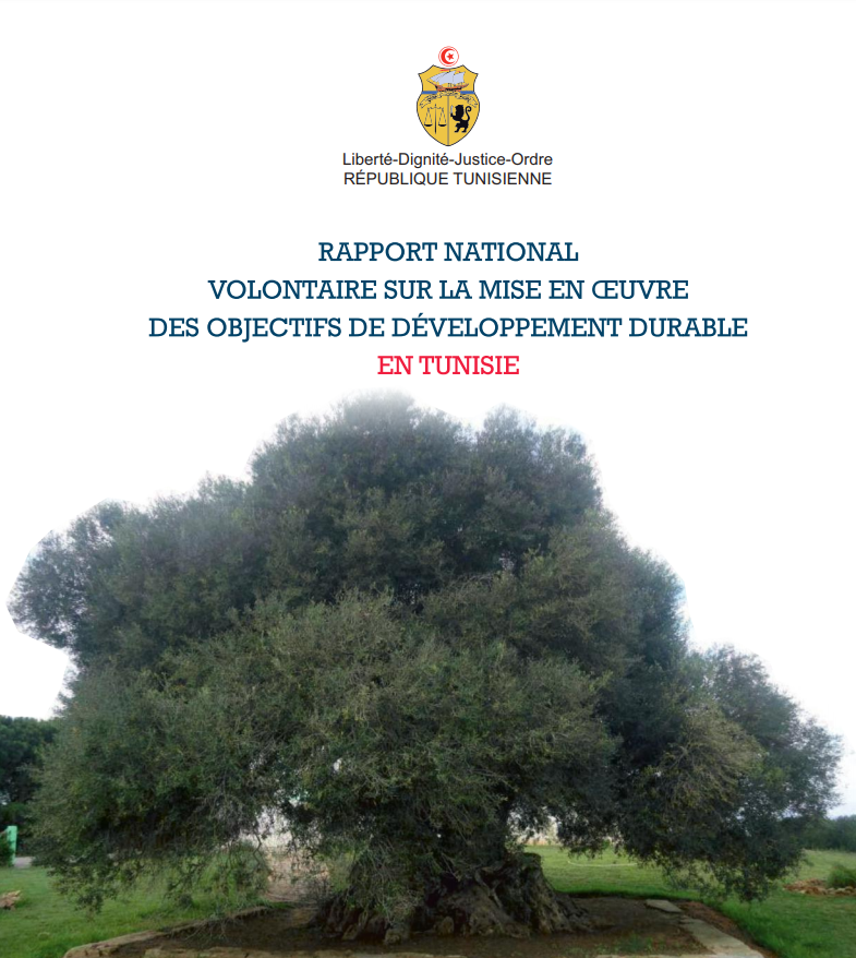 Voluntary national report