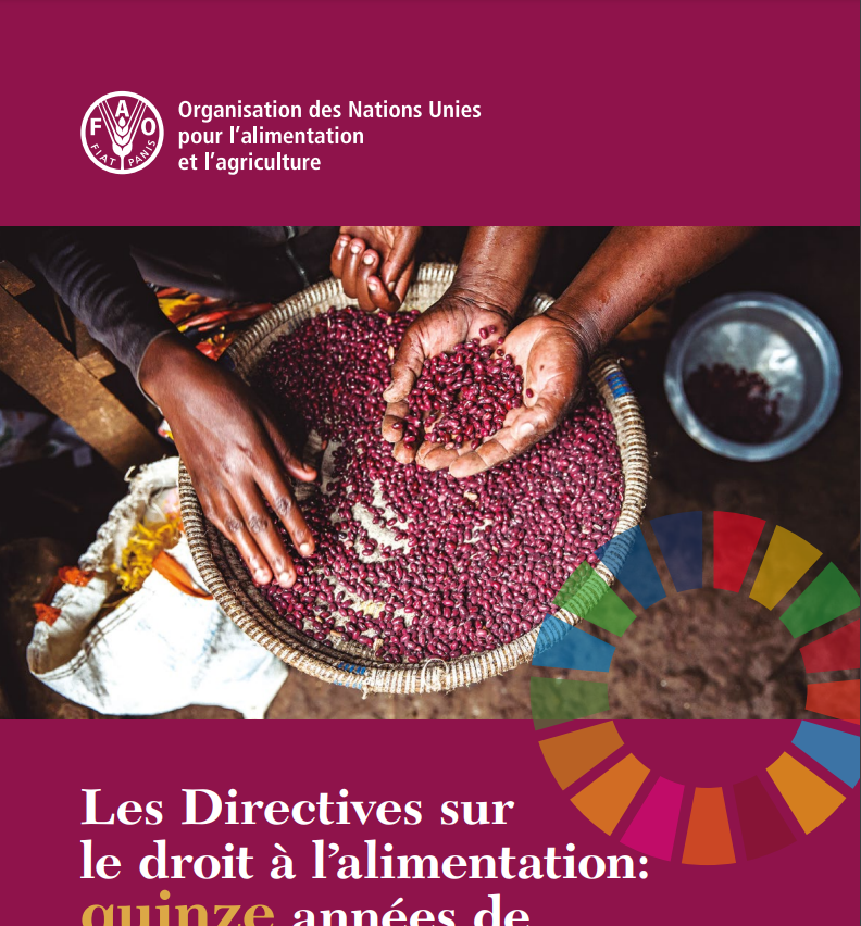 The Right to Food Guidelines: fifteen years of implementation Taking stock of progress in achieving the 2030 Agenda