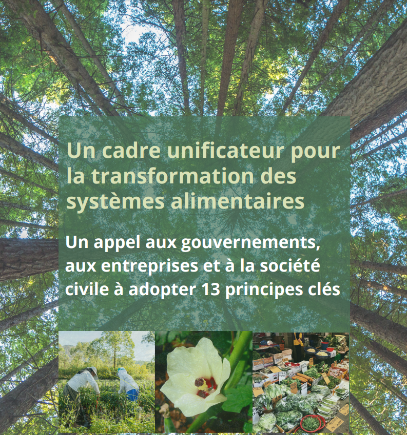 A unifying framework for transforming food systems A call to governments, businesses and civil society to adopt 13 key principles.
